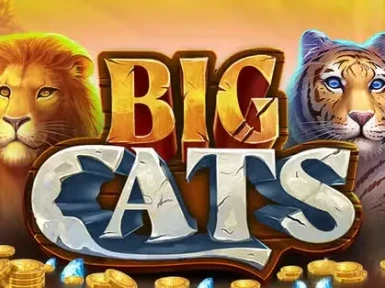 Tikitaka Casino screenshot